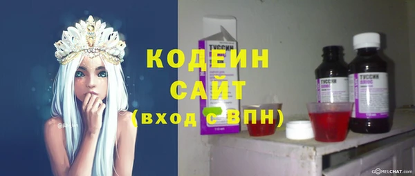 крисы Алексин