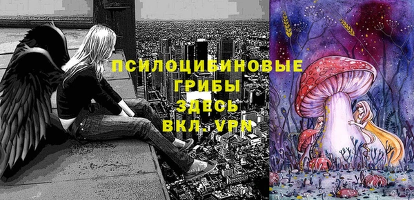 ГАЛЛЮЦИНОГЕННЫЕ ГРИБЫ Абинск