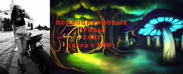 прущие грибы Абаза