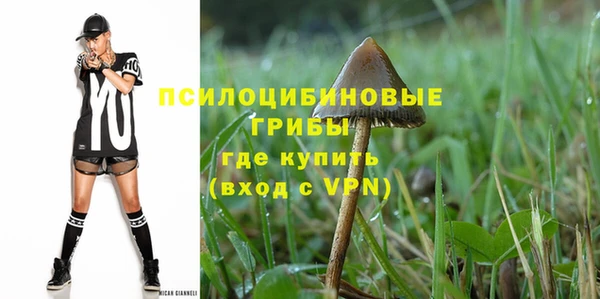 прущий лед Алексеевка