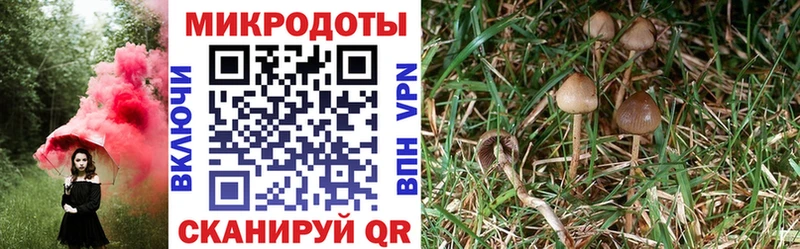 Галлюциногенные грибы Cubensis  Нижнекамск 